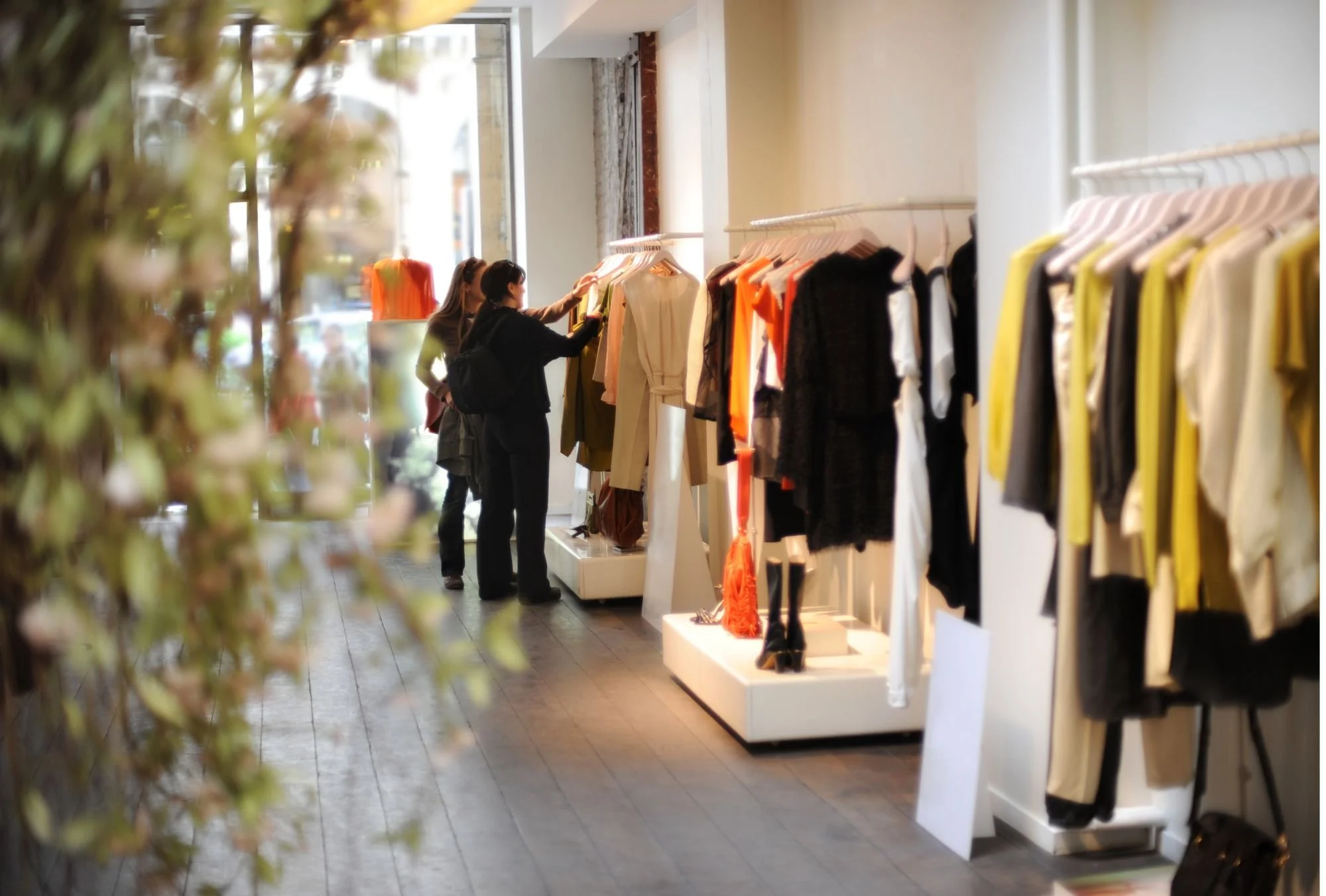 Discover Your Signature Style with Gosilab's Experts